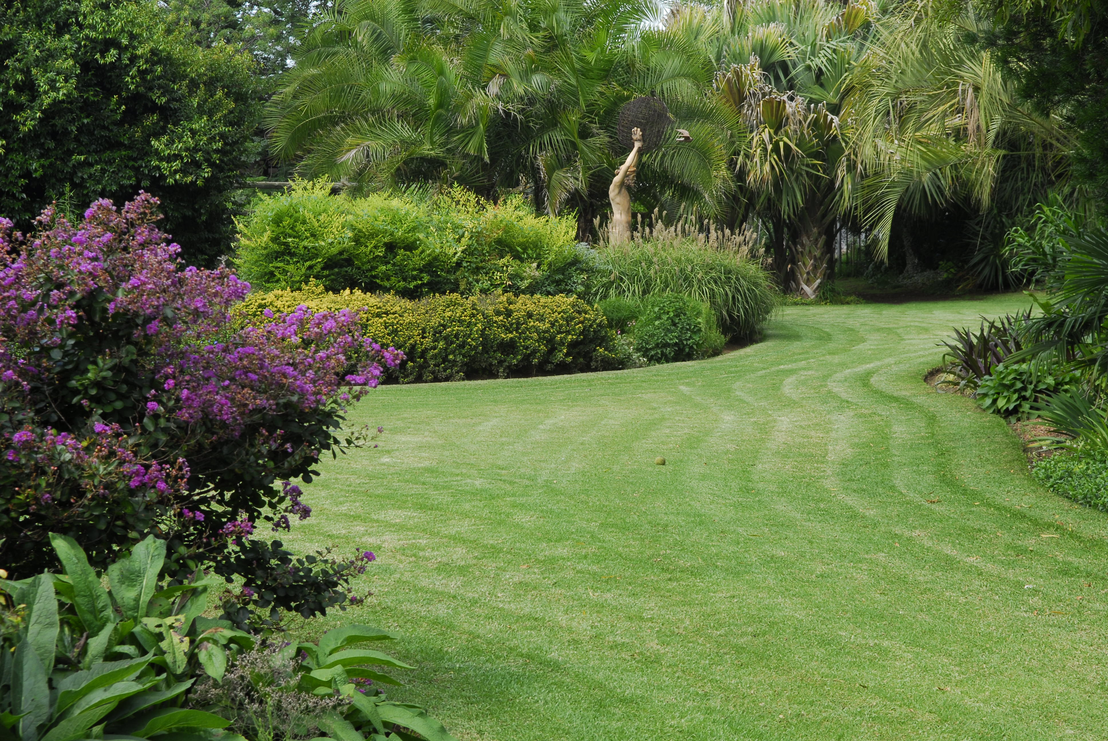 August in the garden