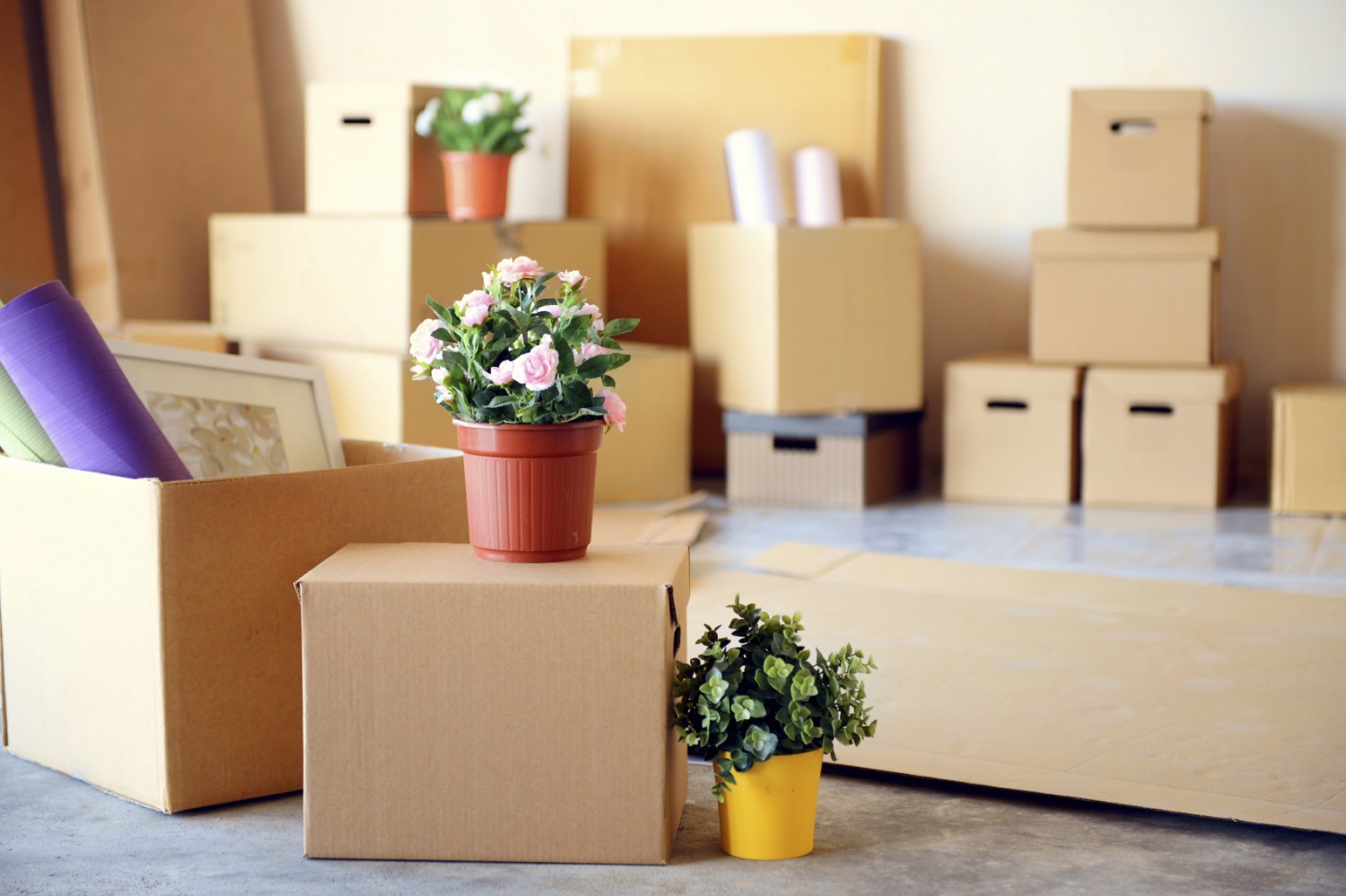 How to move home like a pro