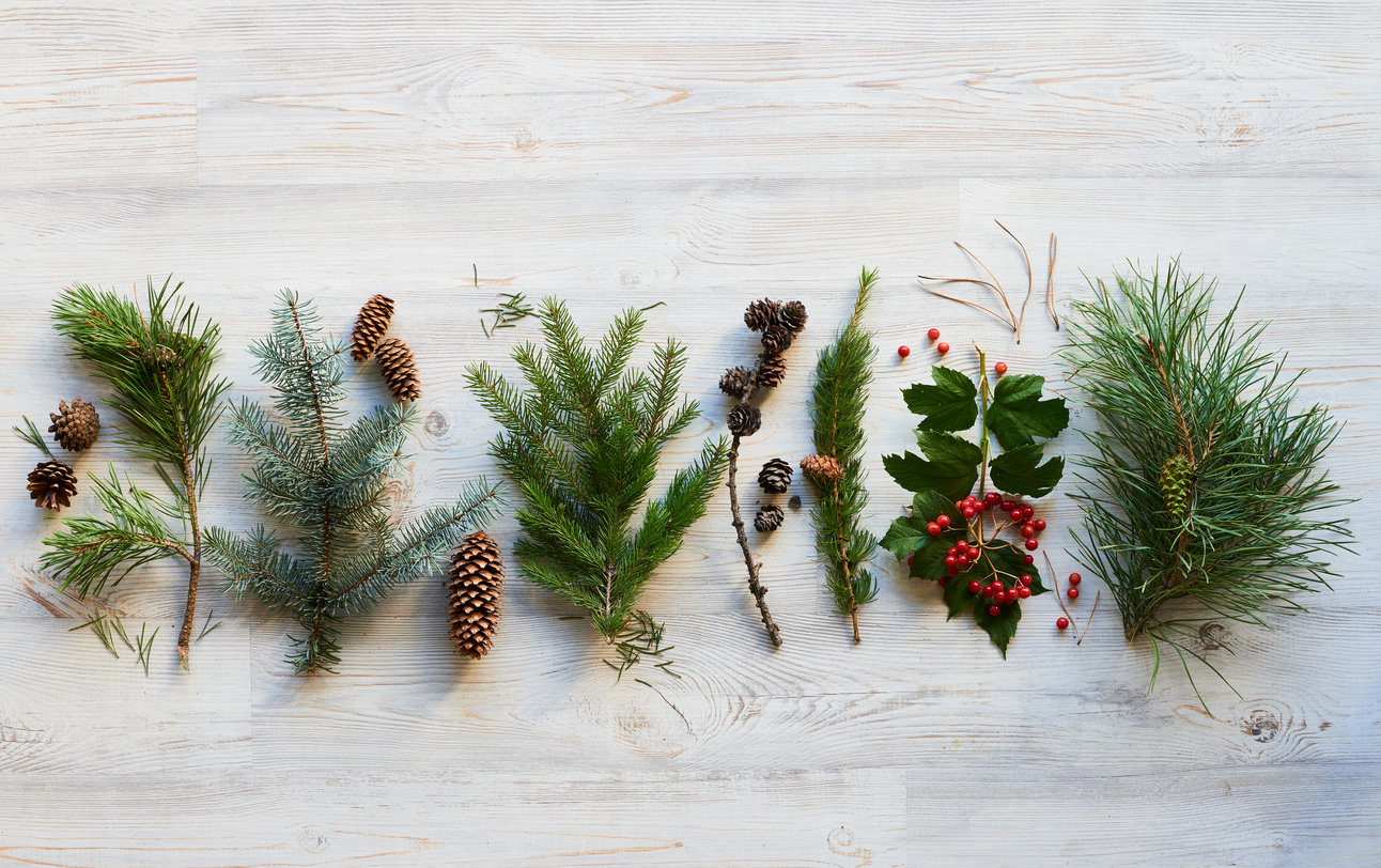 All-natural Christmas decor