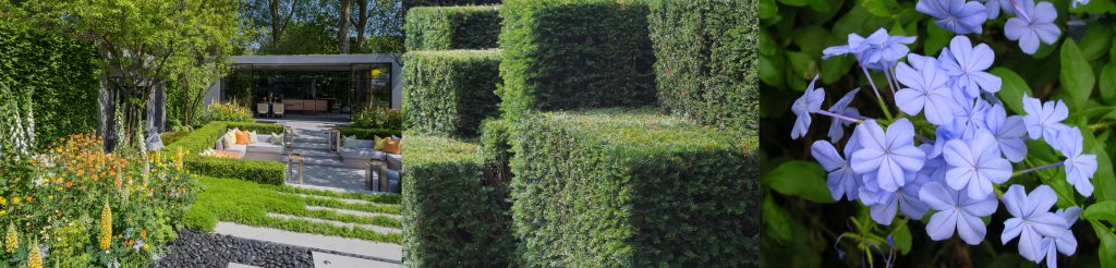 Hedge fund